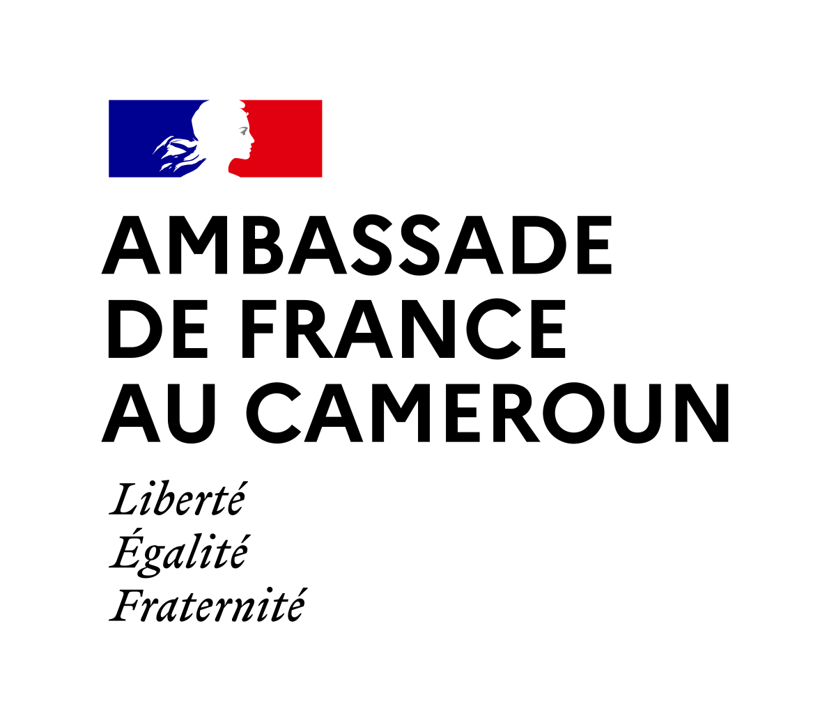Ambassade de France